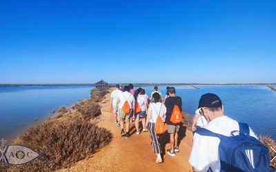 Una Experiencia Única: Las Marismas del Odiel